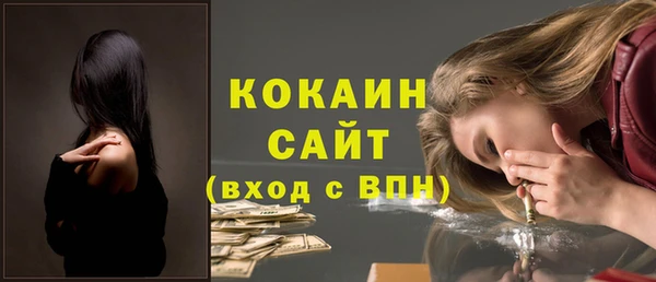 apvp Пестово