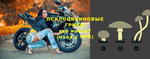ПСИЛОЦИБИНОВЫЕ ГРИБЫ Алексеевка