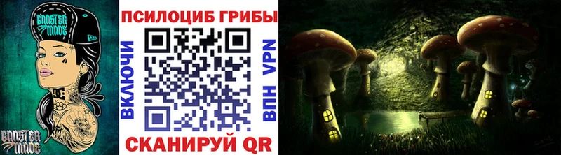 гидра ссылки Каневская Псилоцибиновые грибы Psilocybe